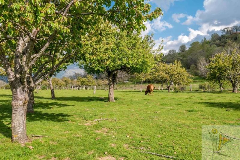 Venta de finca rústica en Güejar Sierra