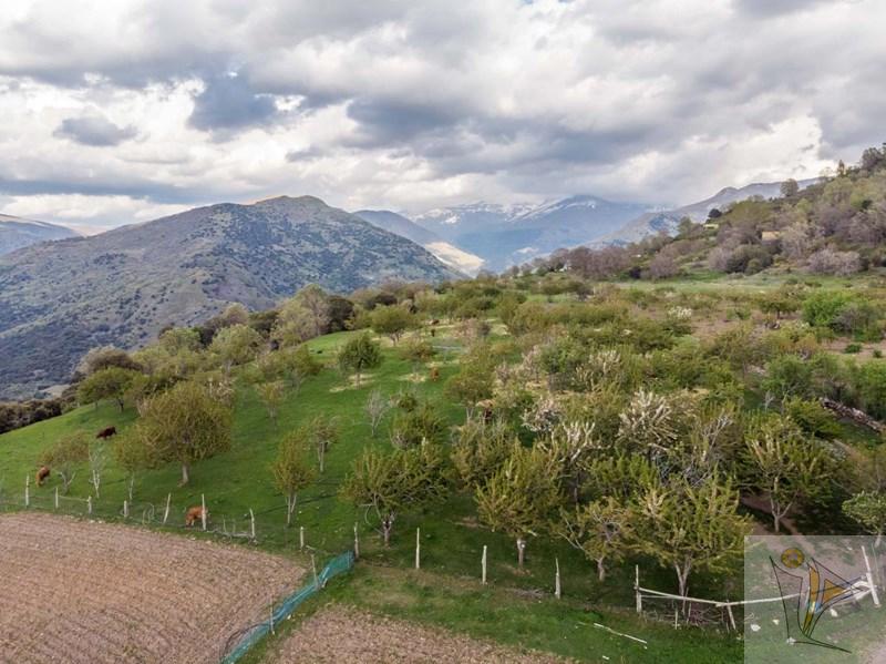 Venta de finca rústica en Güejar Sierra