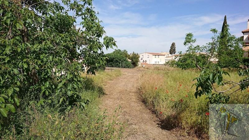 For sale of land in Cájar