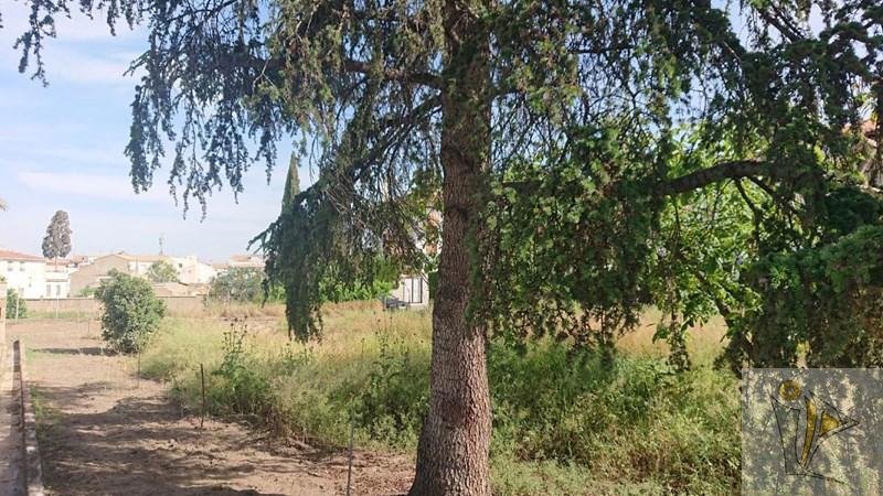 For sale of land in Cájar