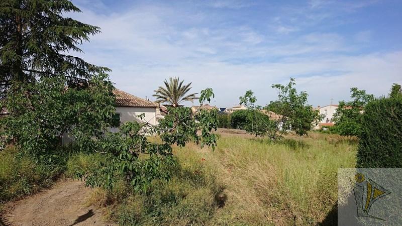For sale of land in Cájar