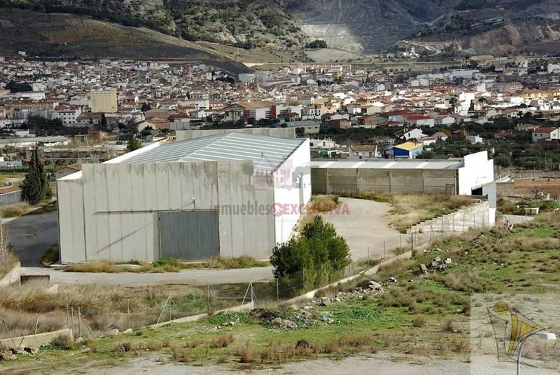 Venta de nave industrial en Padul