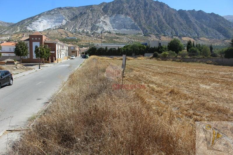 For sale of land in Dúrcal