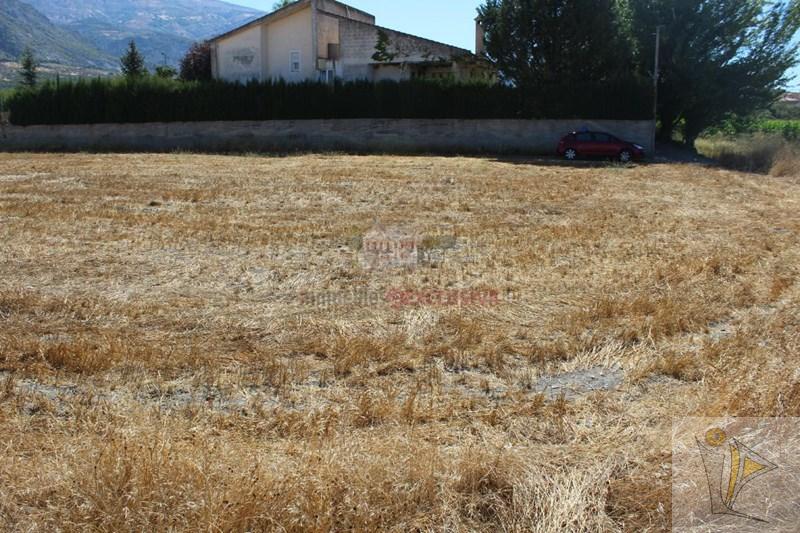 For sale of land in Dúrcal