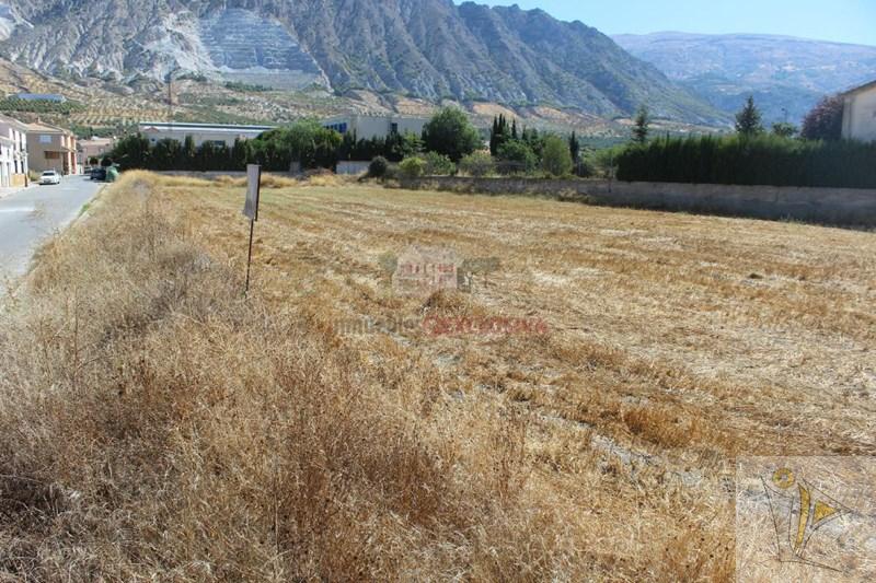 For sale of land in Dúrcal