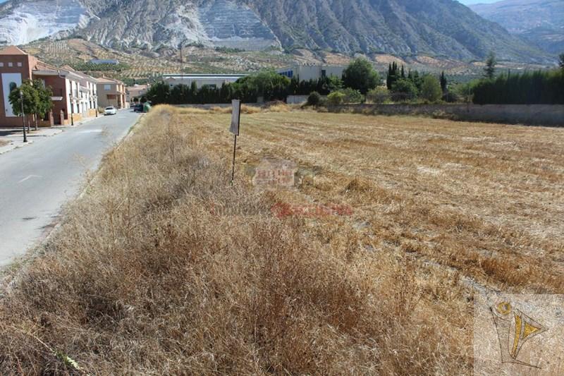 For sale of land in Dúrcal