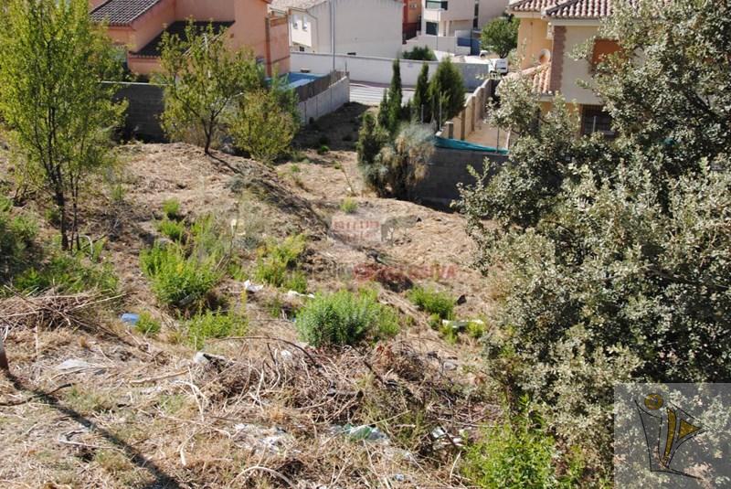 For sale of land in Jun
