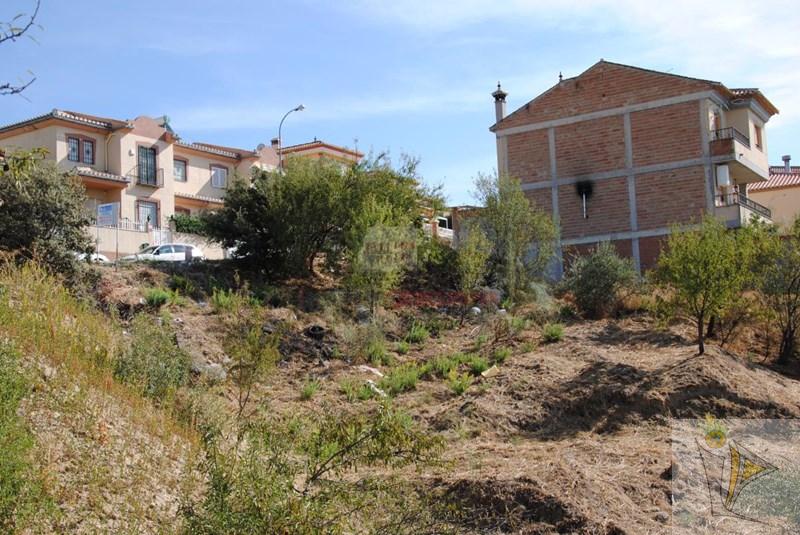 For sale of land in Jun