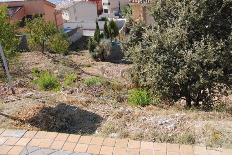 For sale of land in Jun
