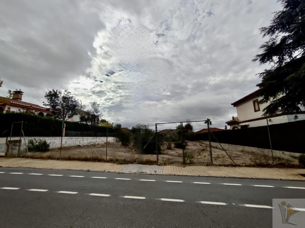 For sale of land in Peligros