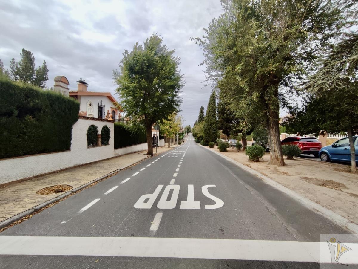 For sale of land in Peligros