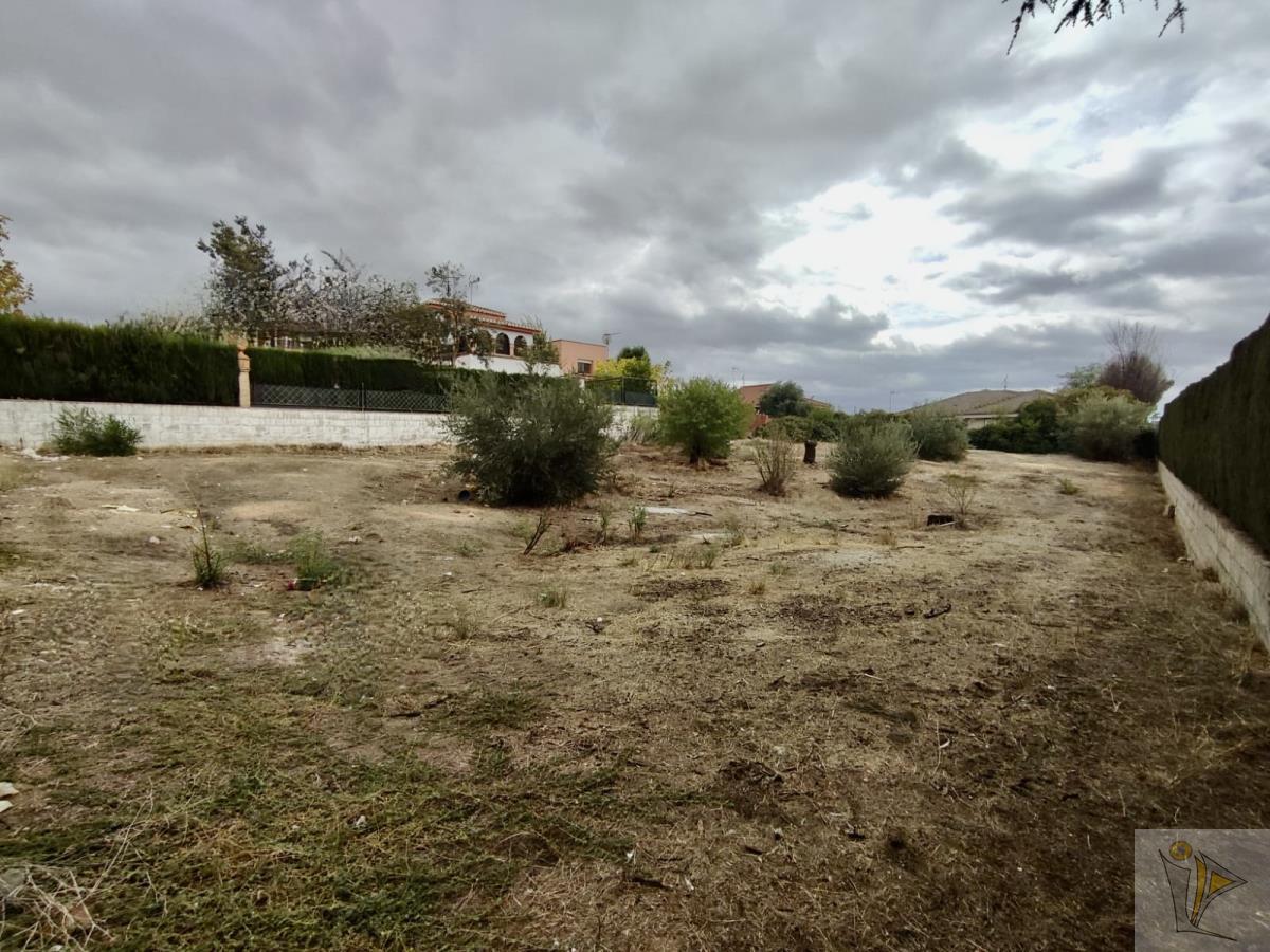For sale of land in Peligros