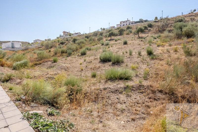 For sale of land in La Zubia