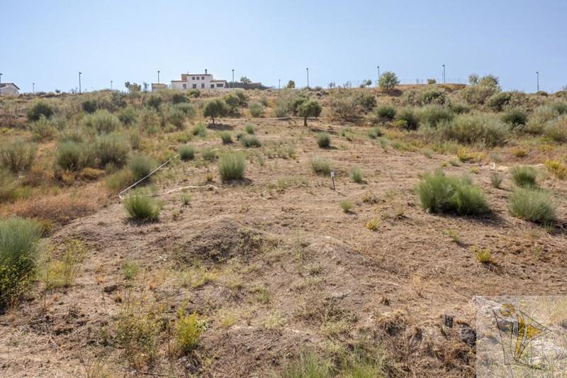 For sale of land in La Zubia
