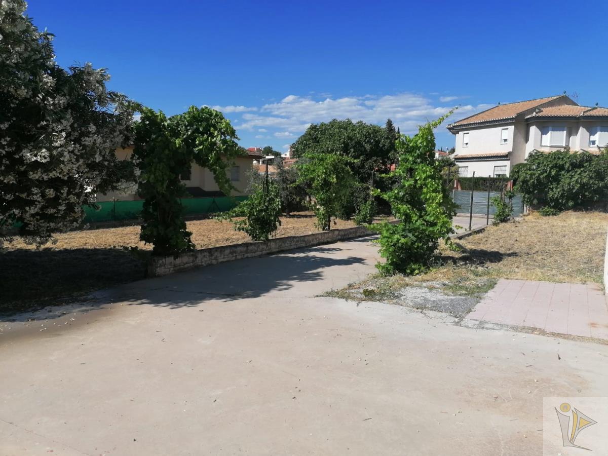 For sale of land in Otura