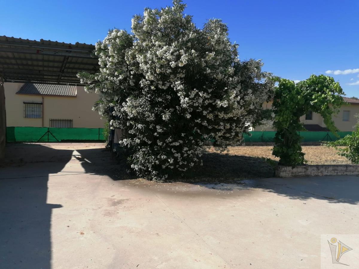 For sale of land in Otura