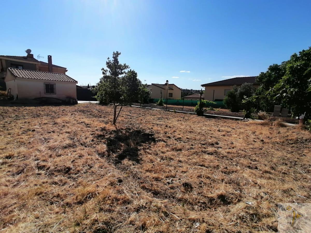 For sale of land in Otura