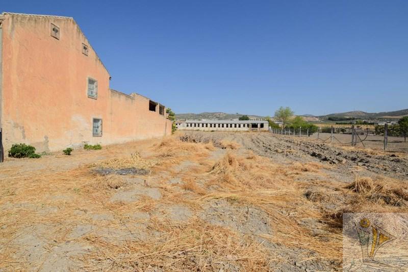 For sale of house in Pinos Puente