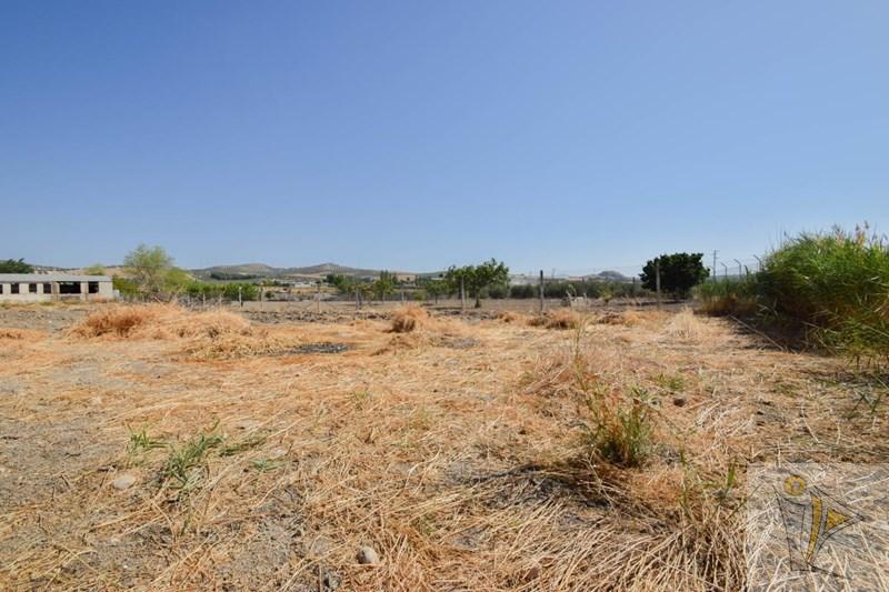 For sale of house in Pinos Puente