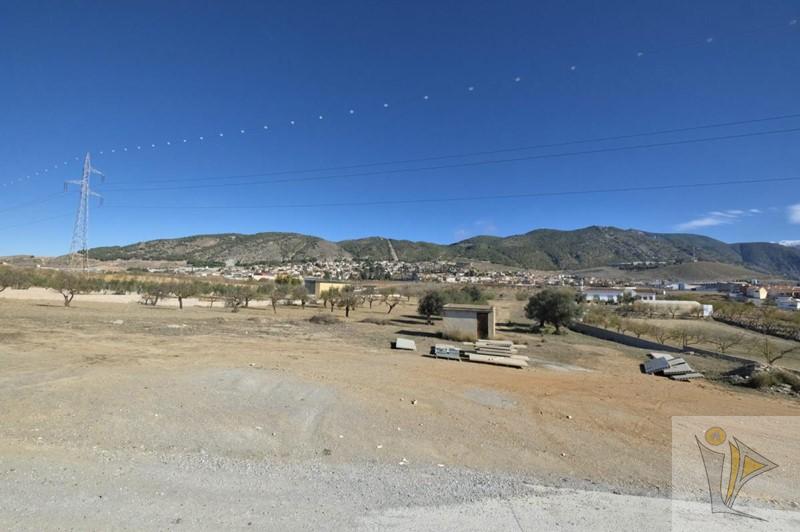 Venta de finca rústica en Padul