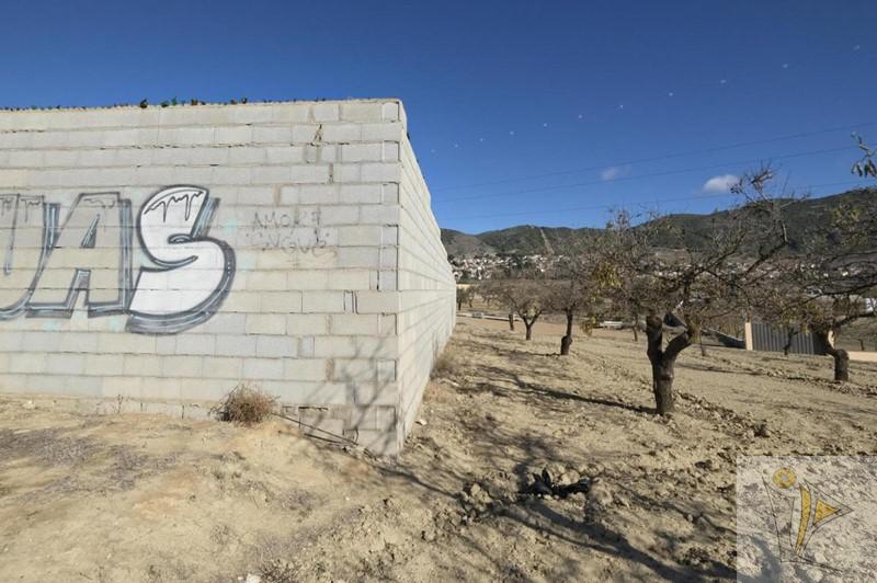 Venta de finca rústica en Padul