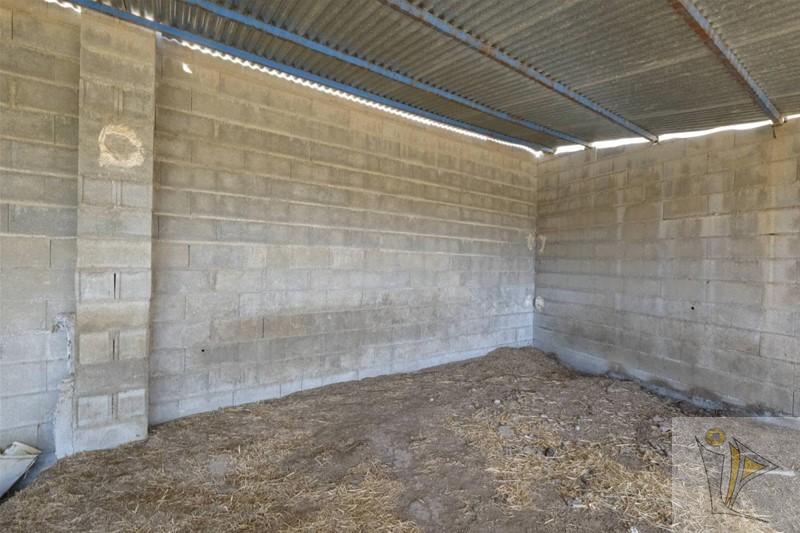 Venta de finca rústica en Padul