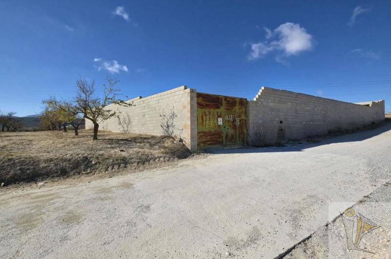 Venta de finca rústica en Padul