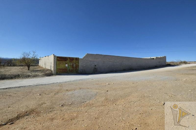 Venta de finca rústica en Padul