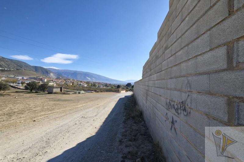 Venta de finca rústica en Padul