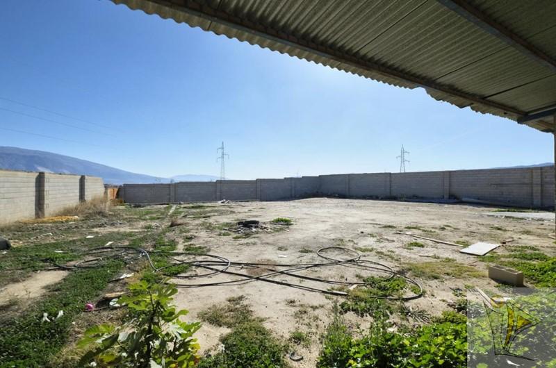 Venta de finca rústica en Padul
