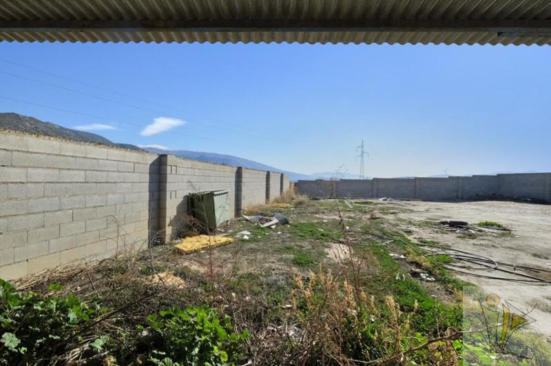 Venta de finca rústica en Padul