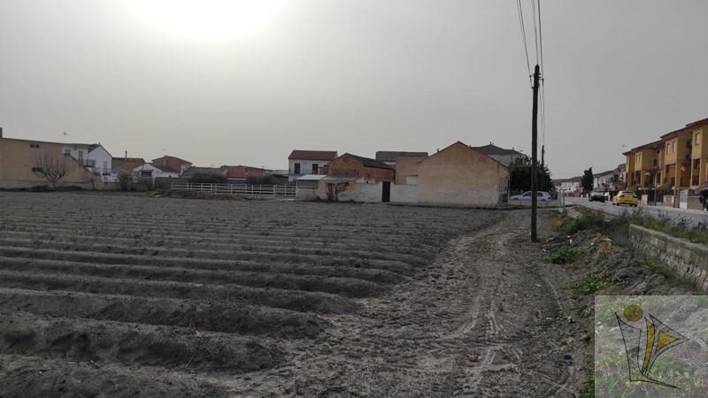 For sale of rural property in Fuente Vaqueros