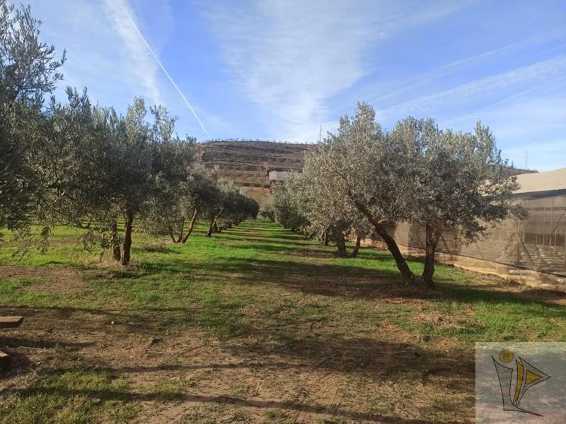 For sale of rural property in Nigüelas