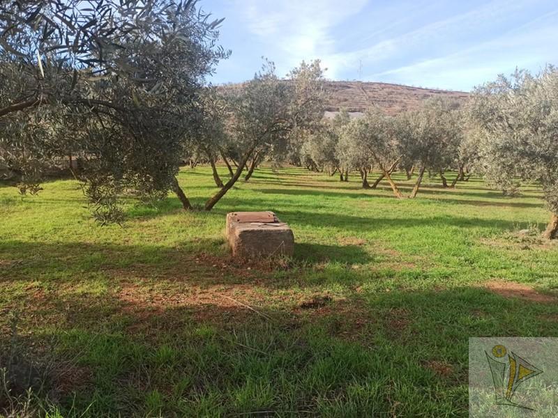 For sale of rural property in Nigüelas