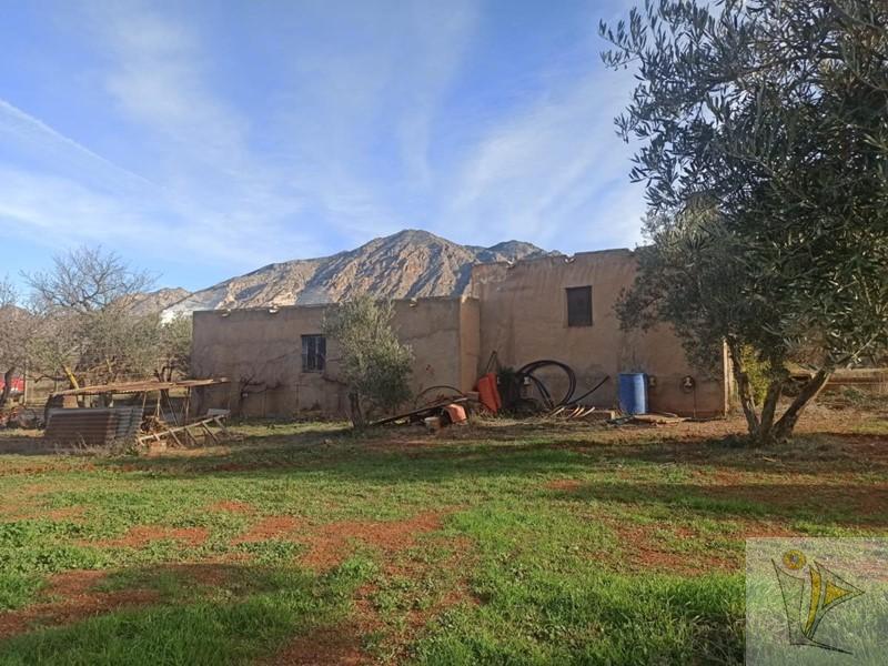 For sale of rural property in Nigüelas