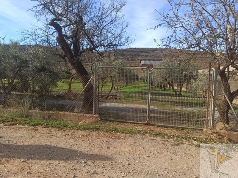 For sale of rural property in Nigüelas