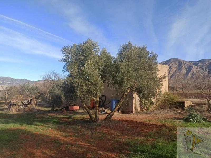 For sale of rural property in Nigüelas