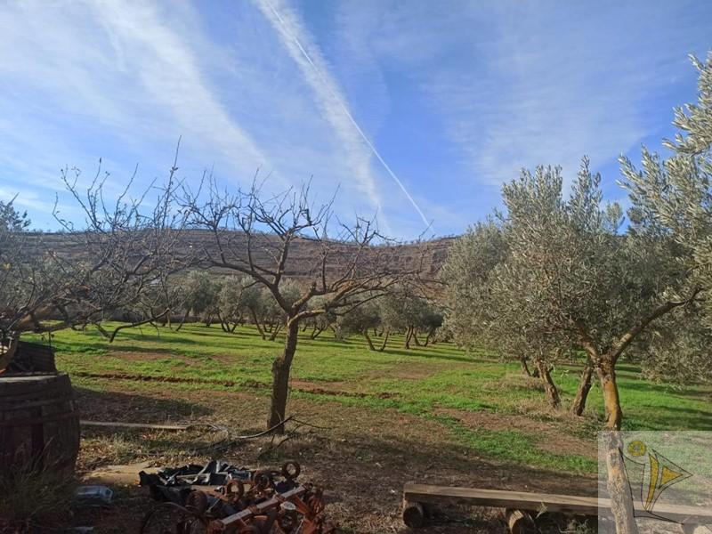 For sale of rural property in Nigüelas