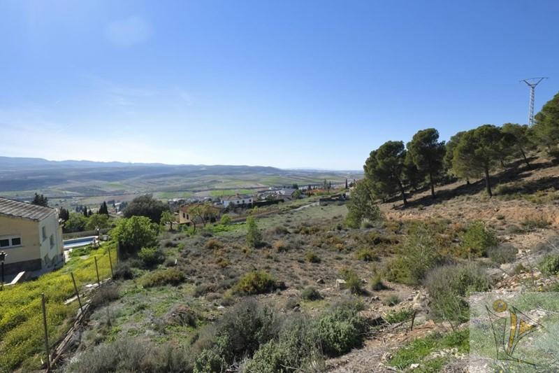 For sale of land in Padul