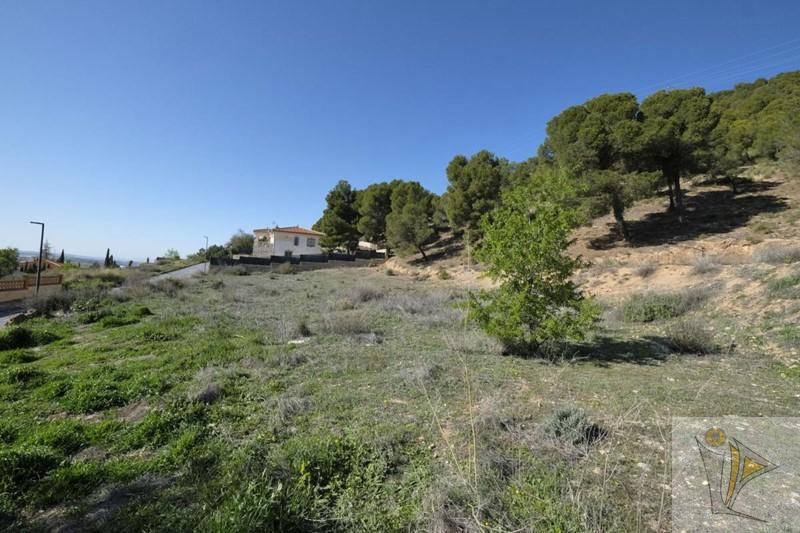 For sale of land in Padul