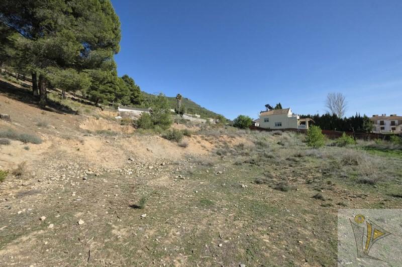 For sale of land in Padul