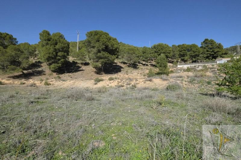 For sale of land in Padul