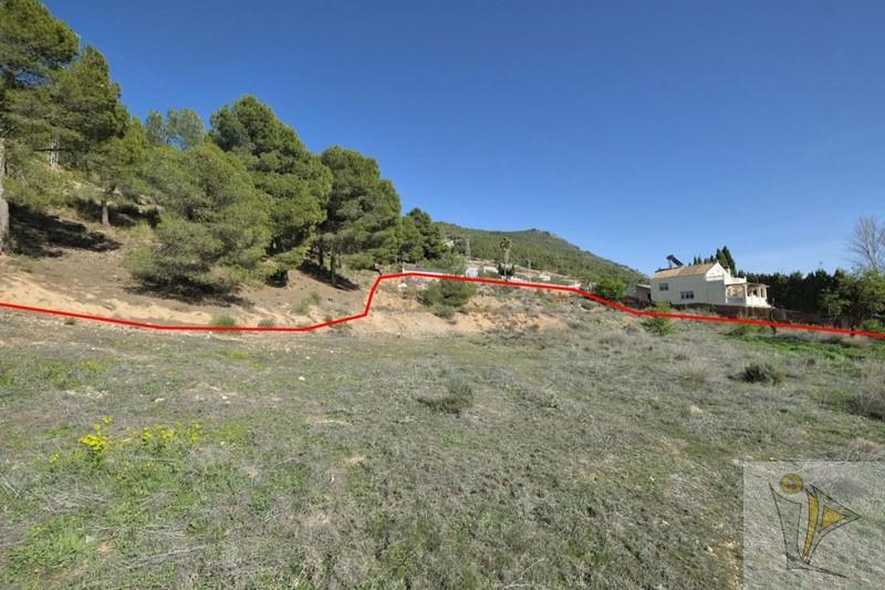 For sale of land in Padul