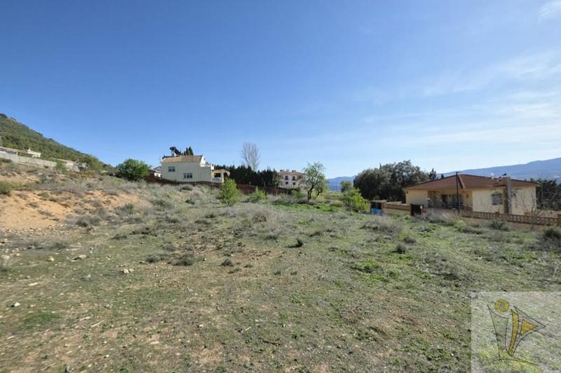 For sale of land in Padul