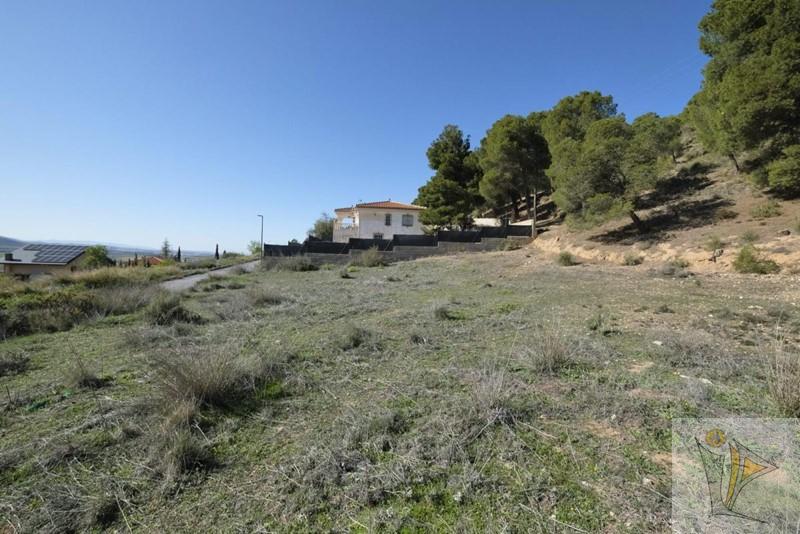 For sale of land in Padul