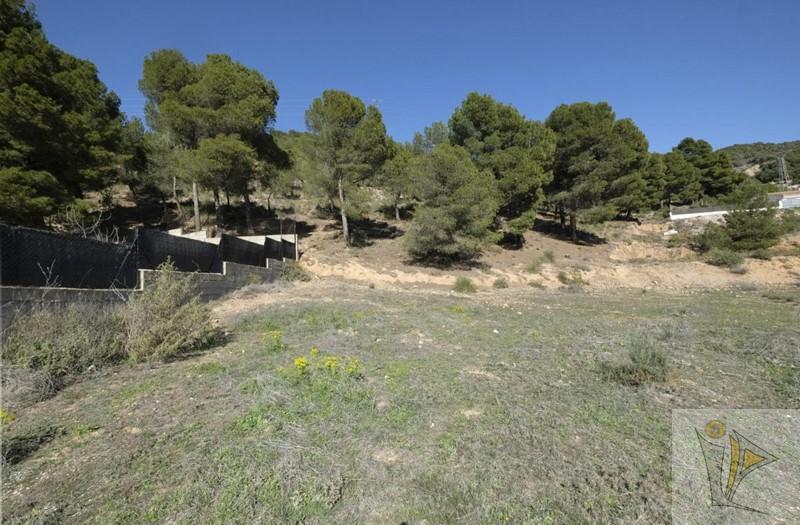 For sale of land in Padul