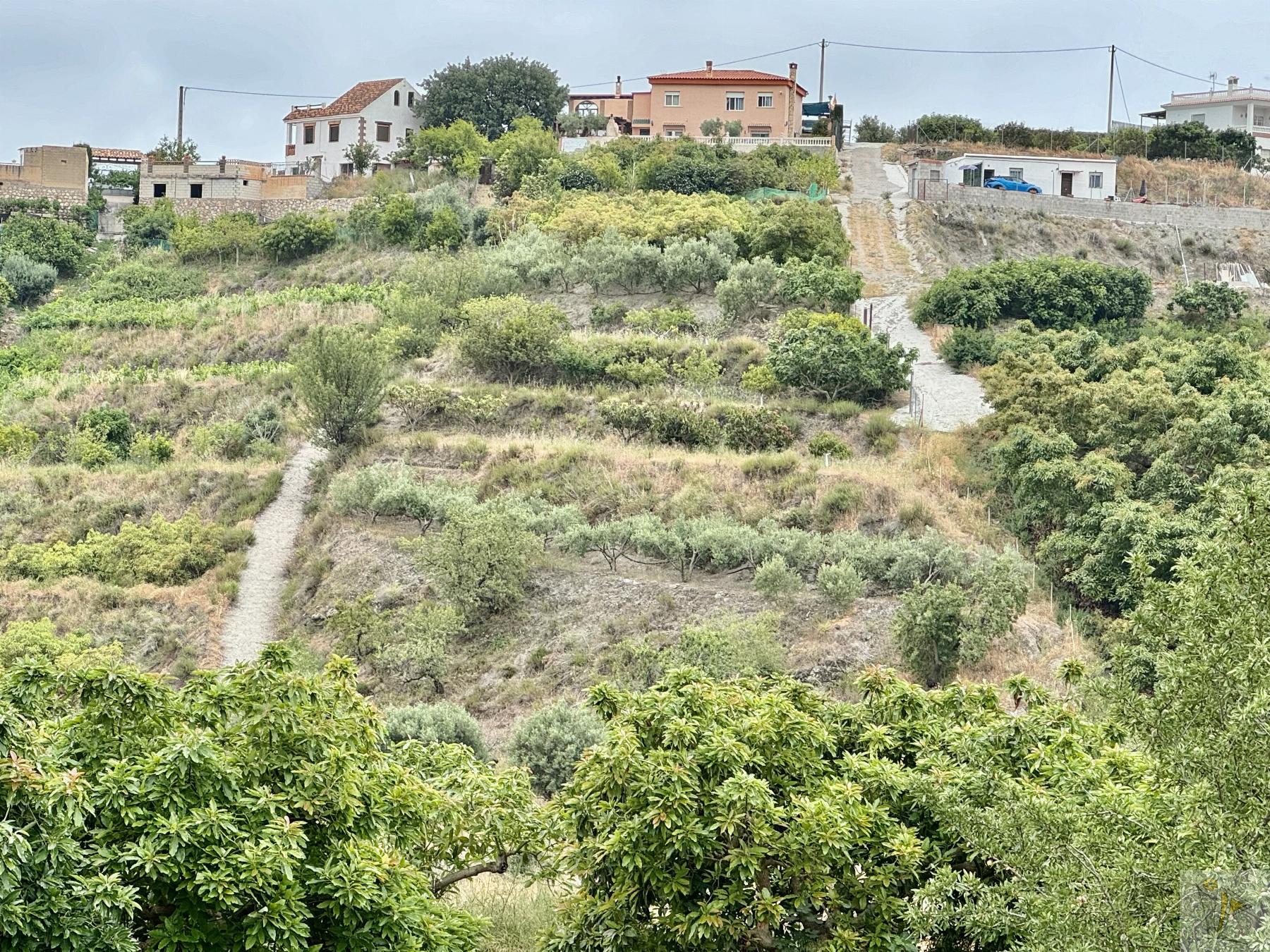 Venta de finca rústica en Molvízar