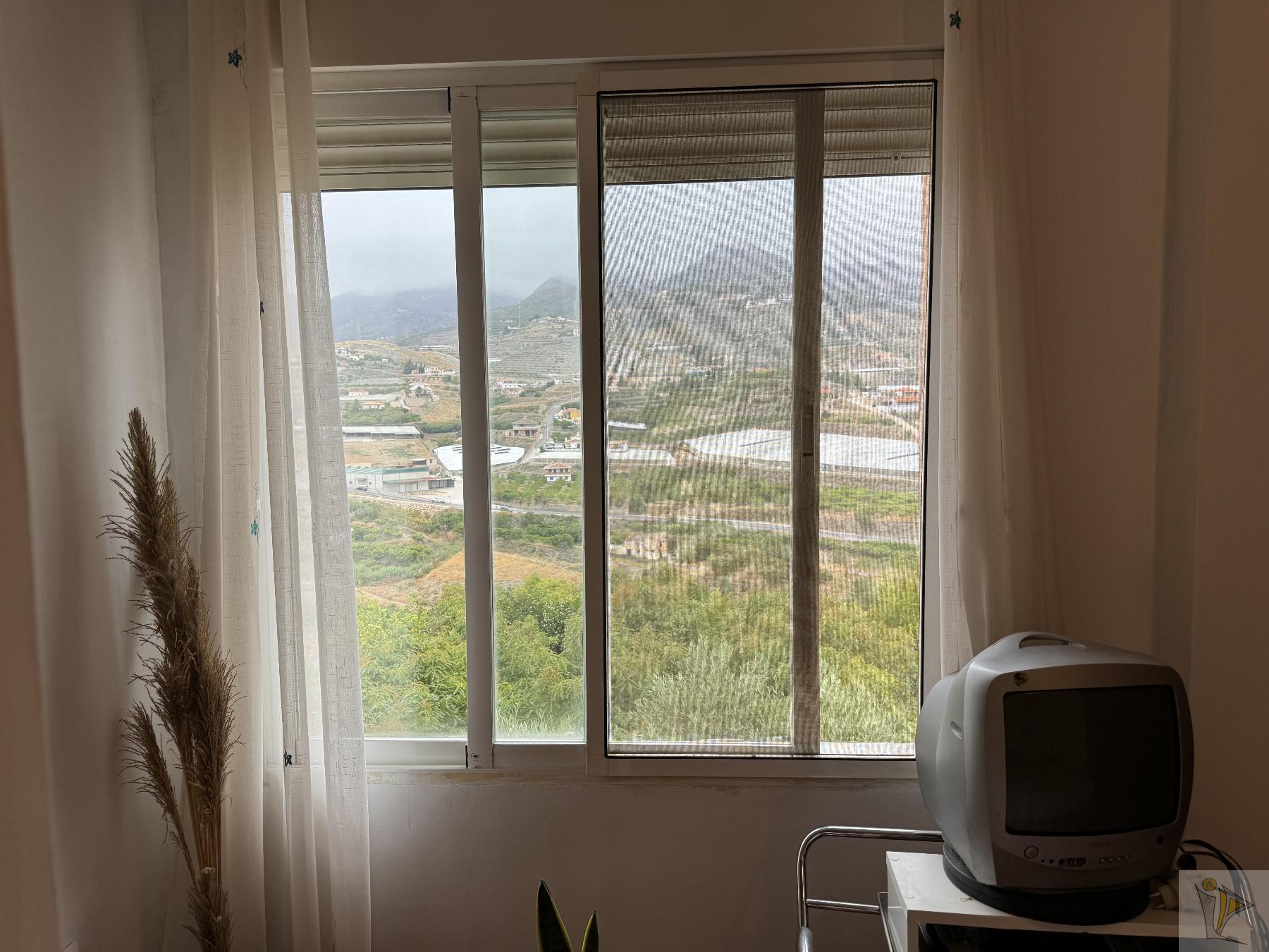 Venta de finca rústica en Molvízar