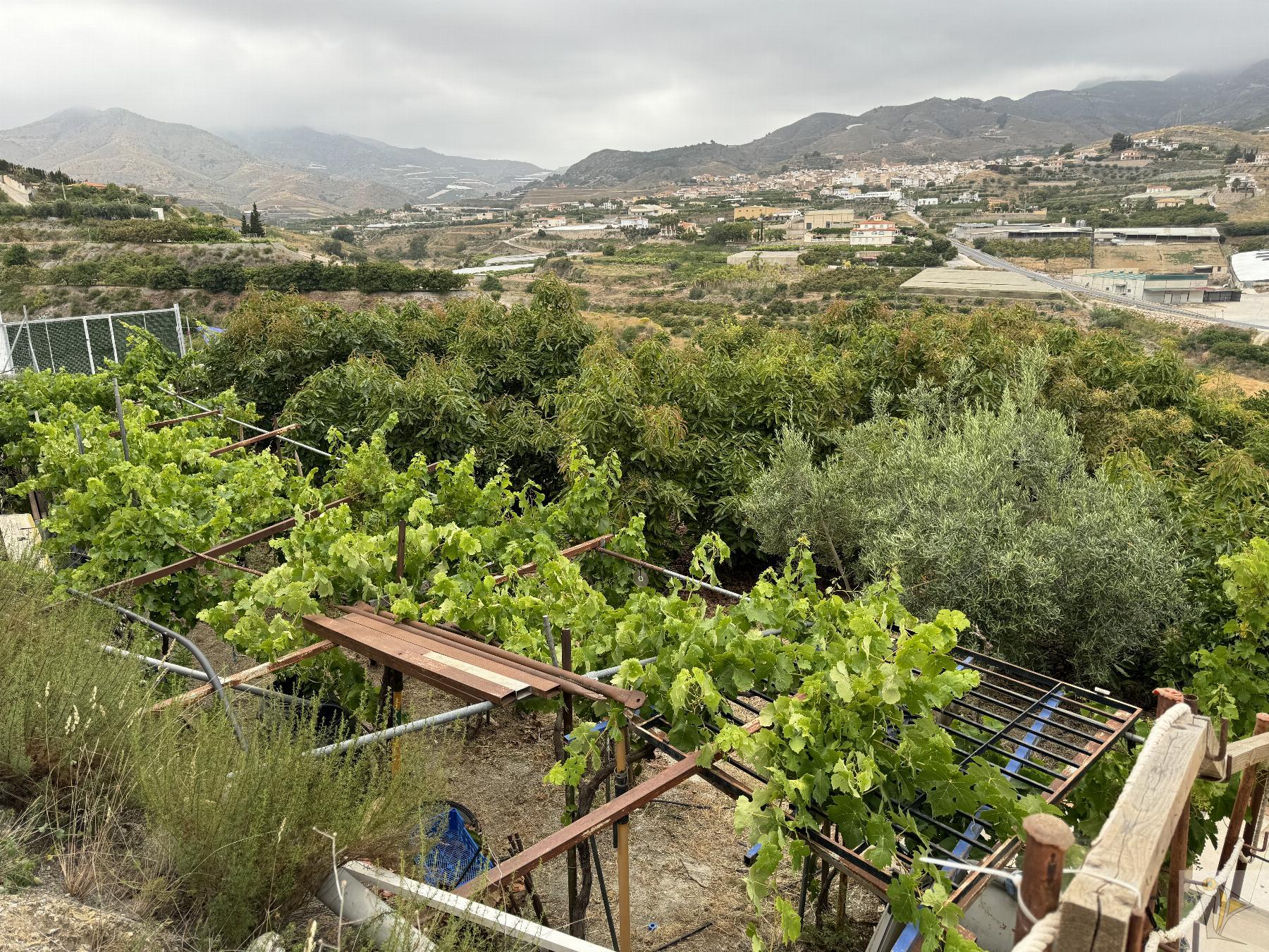 Venta de finca rústica en Molvízar