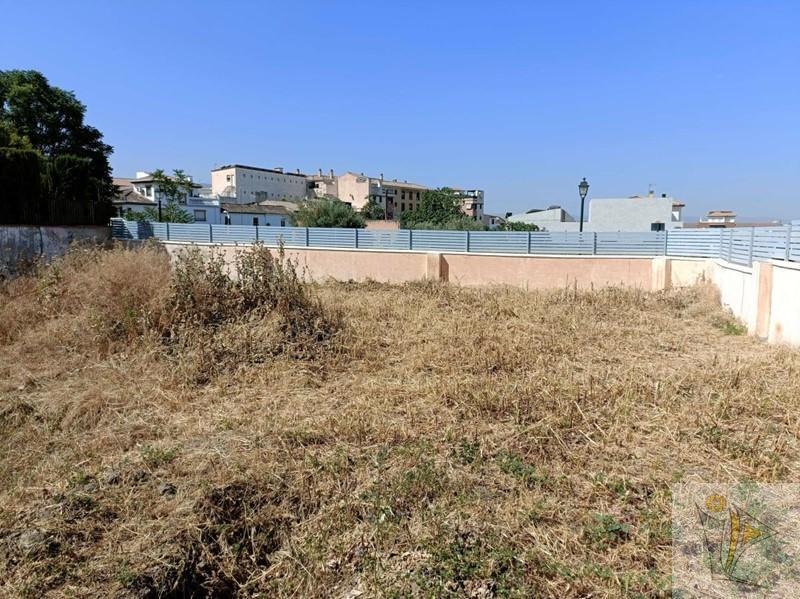 For sale of land in Cájar